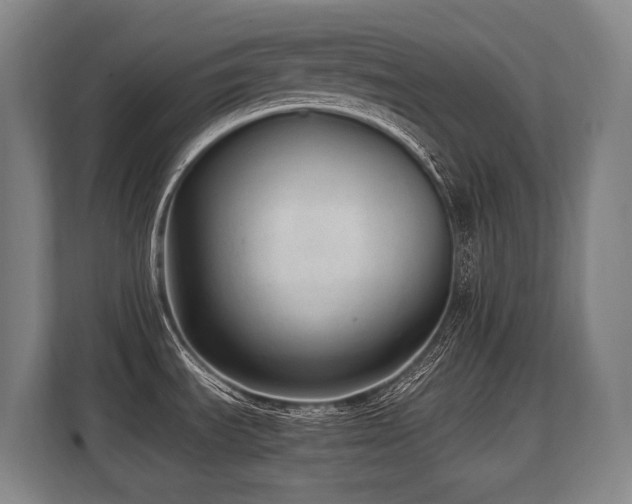 X0000108481535200904031419