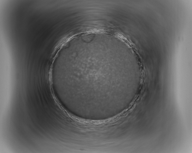 X0000108480002200904091446