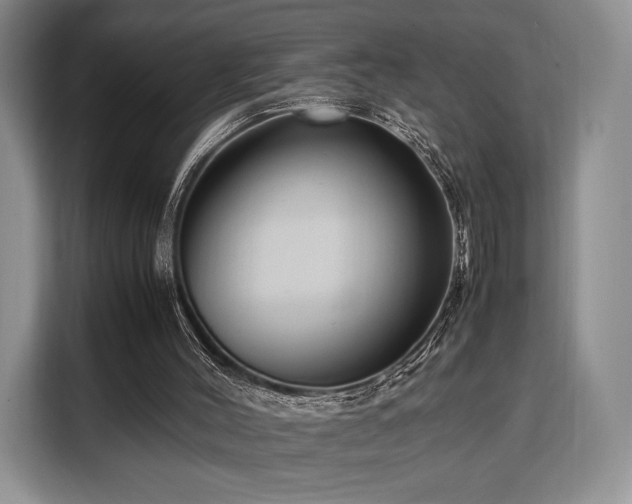 X0000108480004200904091446
