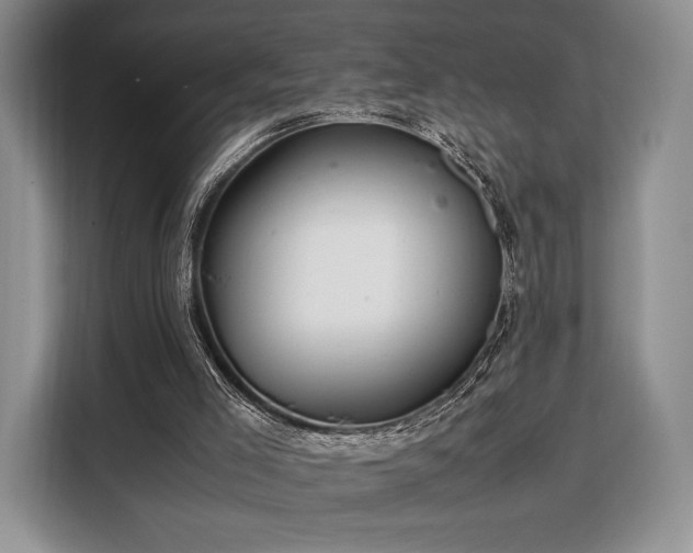 X0000108480005200904091446