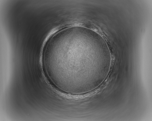 X0000108480006200904091446
