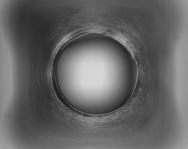 X0000108480007200904091446
