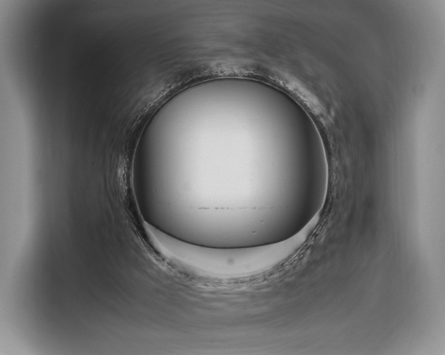 X0000108480009200904091446