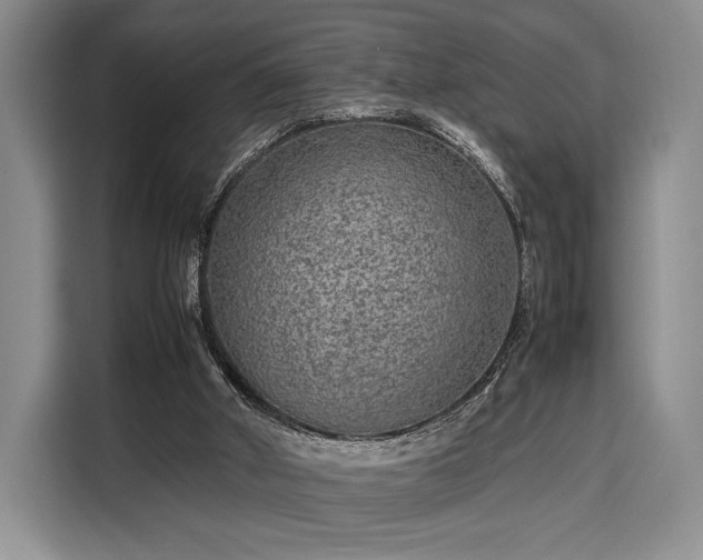 X0000108480010200904091446