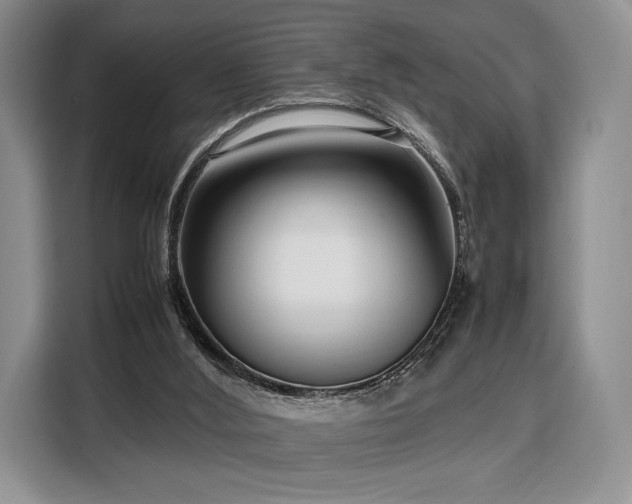 X0000108480012200904091446