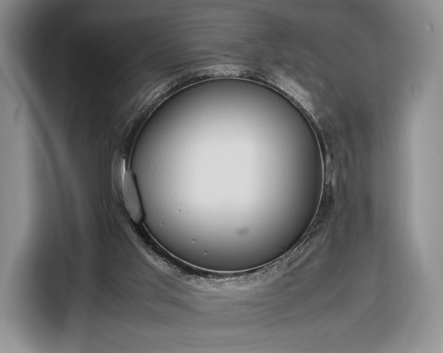 X0000108480013200904091446