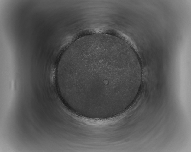 X0000108480018200904091446