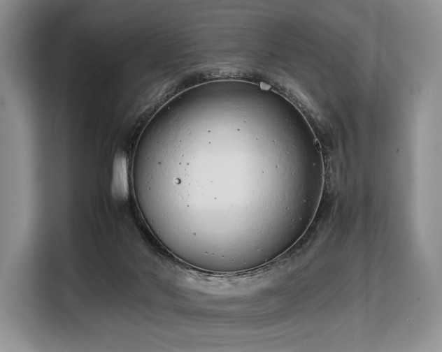X0000108480022200904091446
