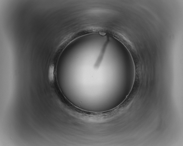 X0000108480024200904091446