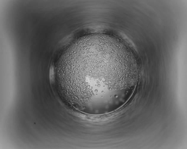 X0000108480026200904091446