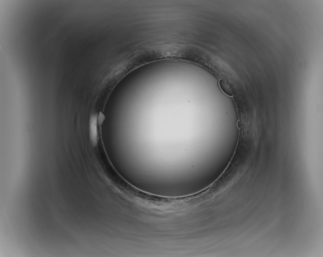 X0000108480028200904091446