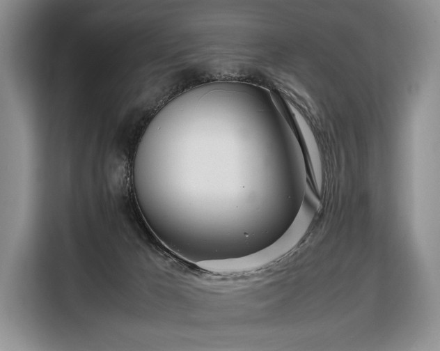 X0000108480029200904091446