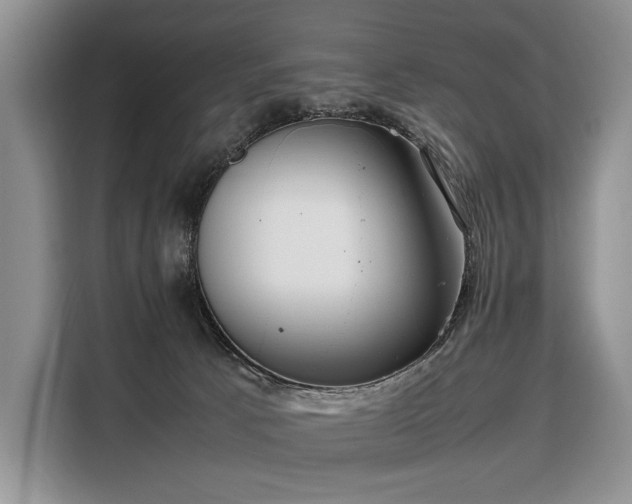 X0000108480033200904091446