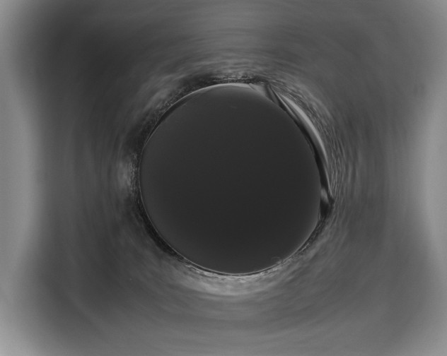 X0000108480035200904091446