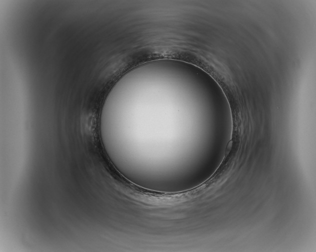 X0000108480036200904091446