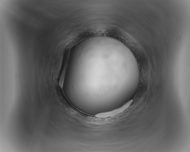 X0000108480037200904091446
