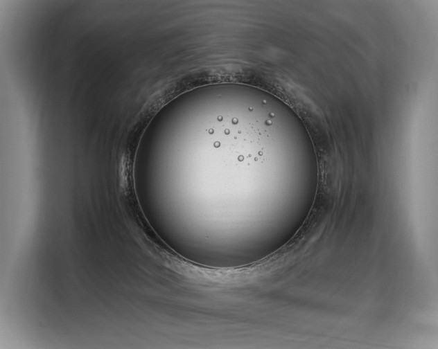 X0000108480038200904091446