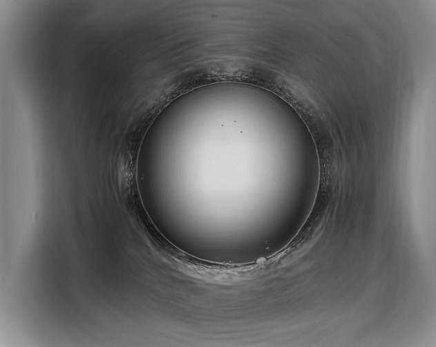 X0000108480040200904091446