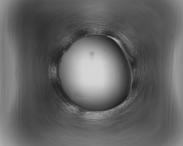 X0000108480045200904091446