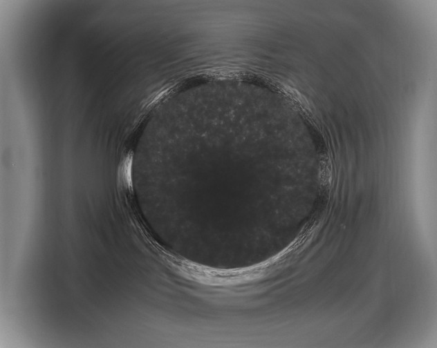 X0000108480047200904091446
