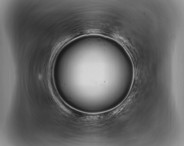 X0000108480049200904091445
