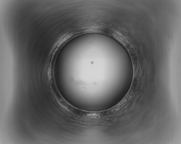 X0000108480050200904091445