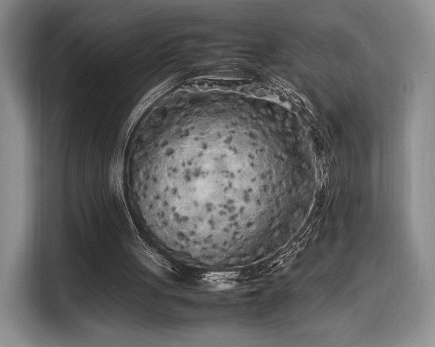 X0000108480051200904091445
