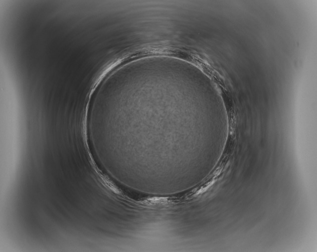 X0000108480052200904091445