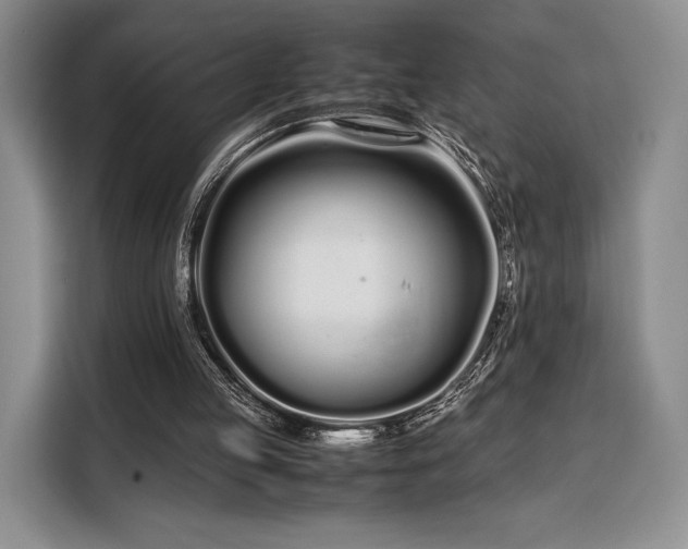 X0000108480053200904091445