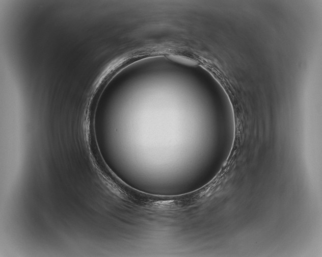 X0000108480054200904091445