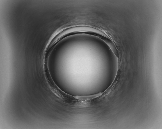 X0000108480056200904091445