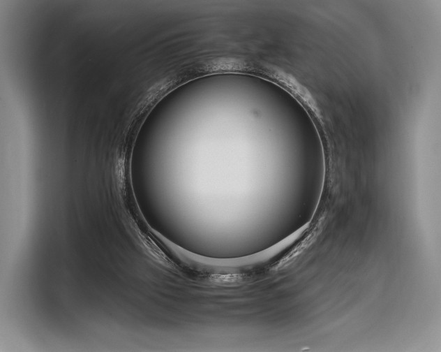X0000108480057200904091445