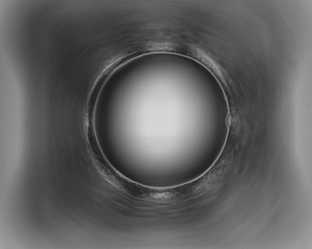 X0000108480059200904091445