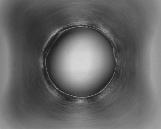 X0000108480060200904091445