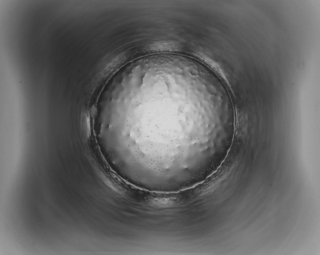 X0000108480061200904091445