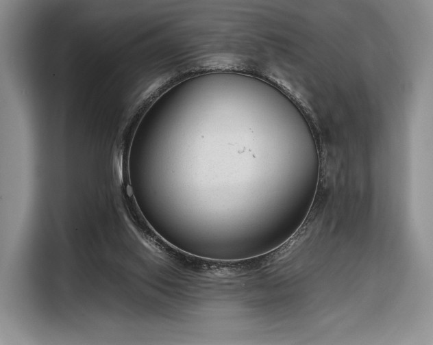 X0000108480062200904091445