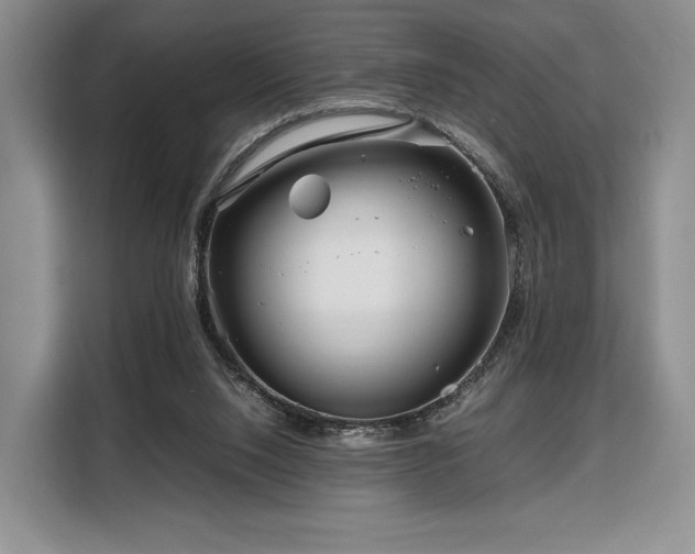 X0000108480064200904091445
