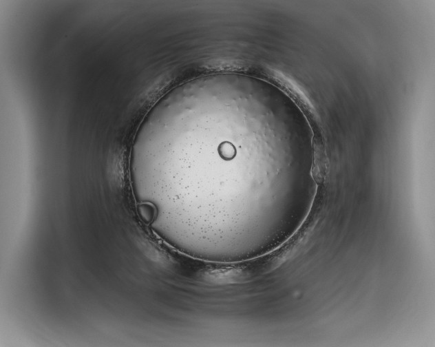 X0000108480065200904091445