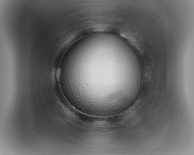 X0000108480066200904091445