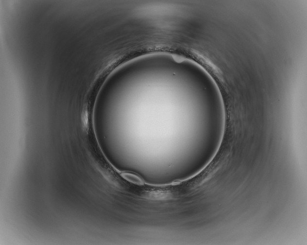 X0000108480067200904091445