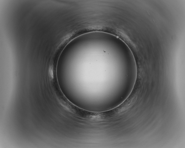 X0000108480068200904091445
