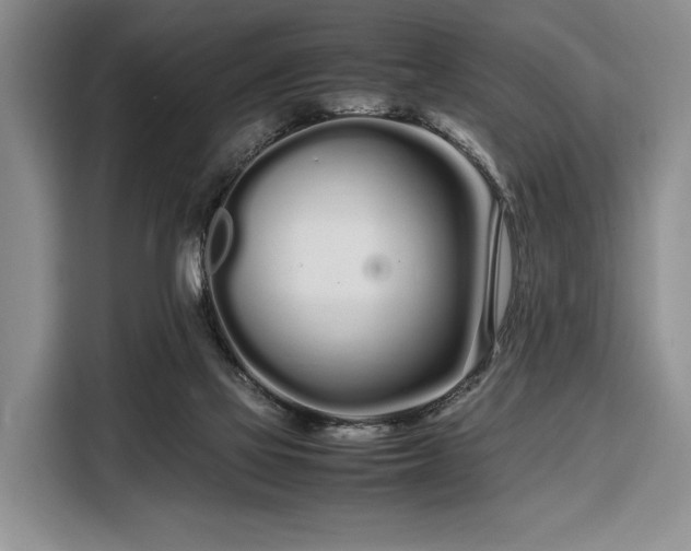 X0000108480069200904091445