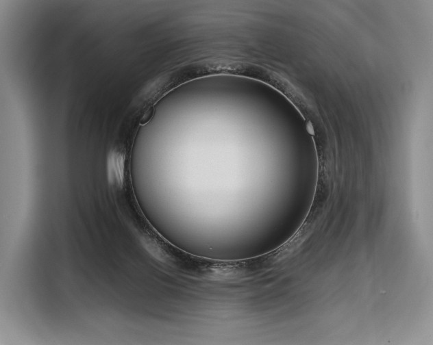 X0000108480070200904091446