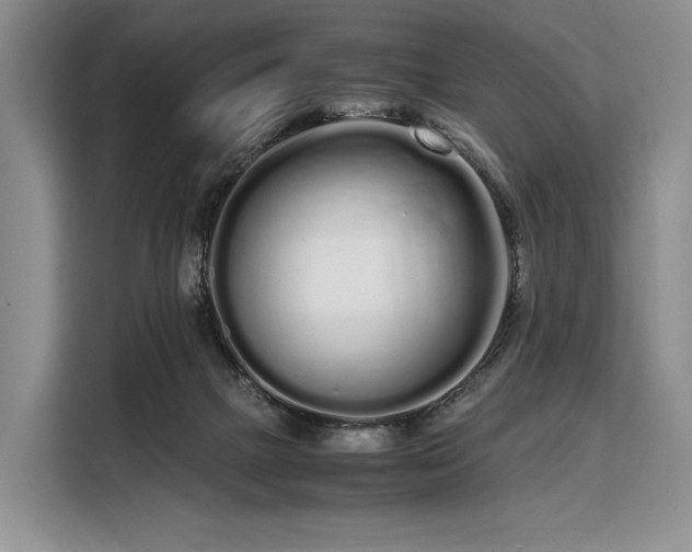 X0000108480073200904091446