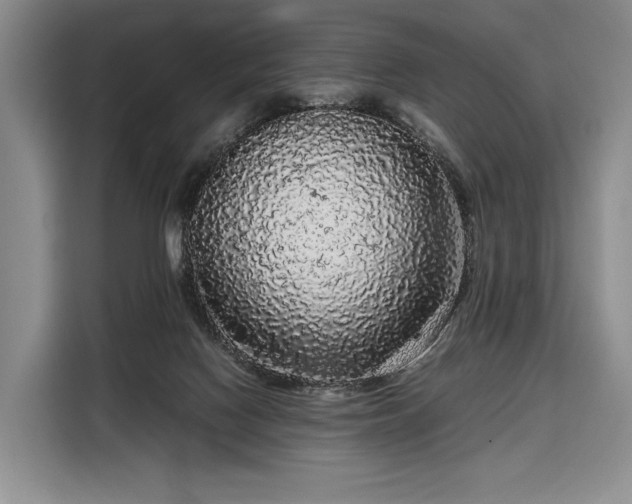 X0000108480074200904091446