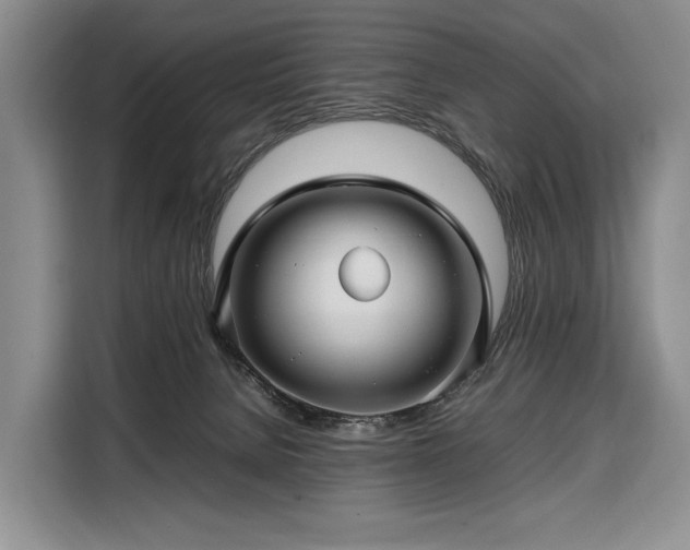 X0000108480080200904091446