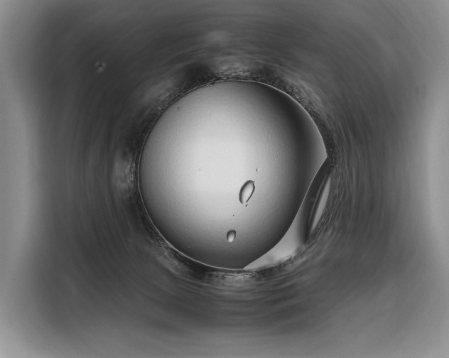 X0000108480081200904091446