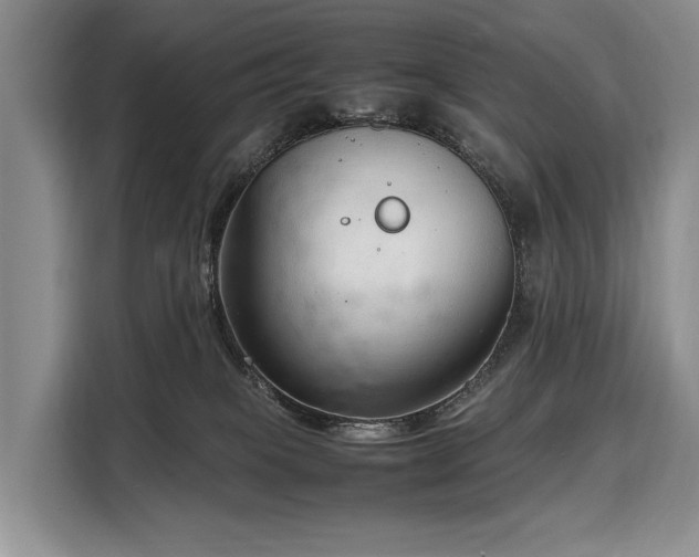 X0000108480085200904091446