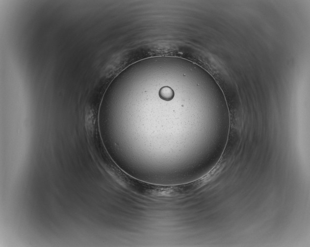 X0000108480086200904091446