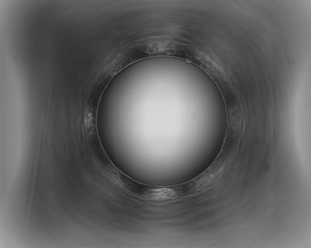 X0000108480087200904091446
